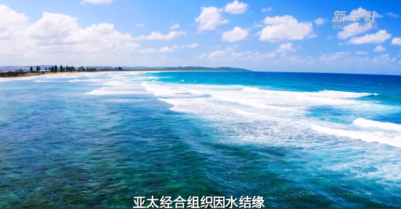 视频画报｜携手开创亚太发展新时代